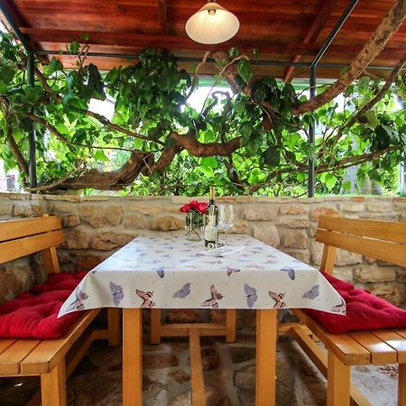 Carla Guest House Novigrad  Exterior photo