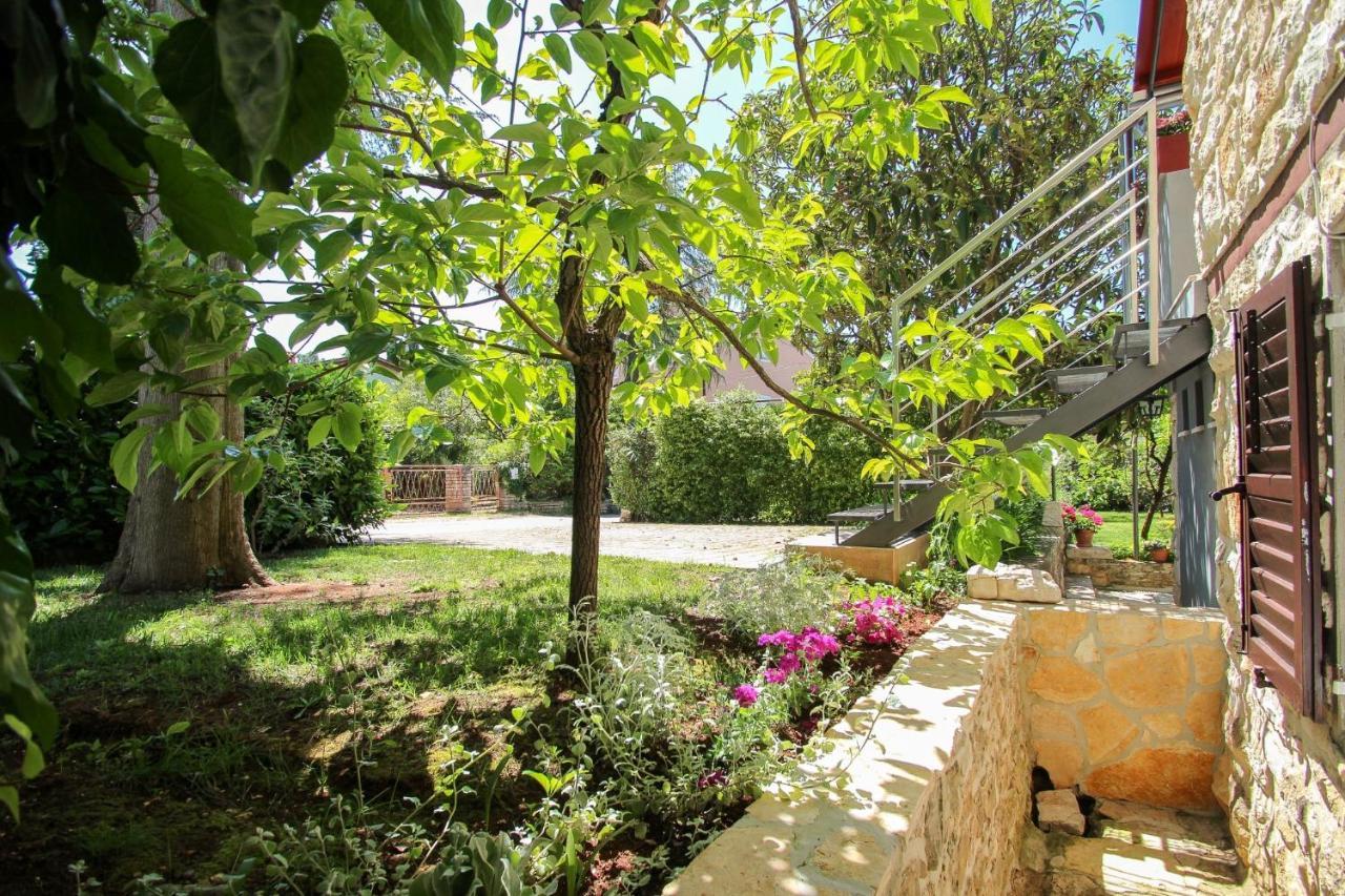 Carla Guest House Novigrad  Exterior photo